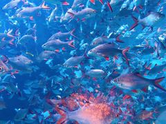 -成都浩海立方海洋公园