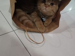 -爱乐蒙艺术·古筝 钢琴 声乐(科华校区)