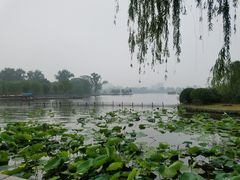 -泉畔人家·老济南经典鲁菜(大明湖店)