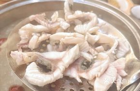 Crisp Meat Carp Fish Fillet