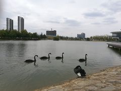 -南京医科大学(江宁校区)