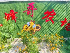 -庞各庄翠芳园西瓜蔬菜基地采摘园