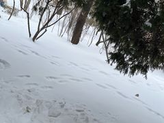 -迎泽公园