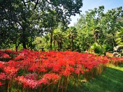 -杭州植物园