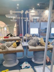 -奈尔宝家庭中心·亲子餐厅(鄞州万达店)