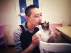 -灯塔咖啡馆BOOK·Coffee Shop