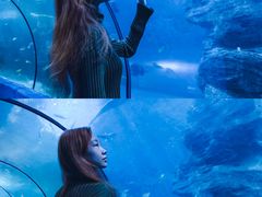 -左海海底世界