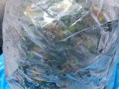 android_upload_pic-志龙皇冠吃货椰子铺