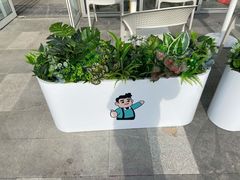 -爸爸糖吐司面包(武汉汉阳万达店)