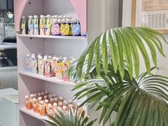 -青奢宠物·青奢猫舍