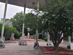 -北京第二实验小学