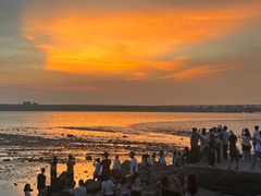 -宝安西湾红树林湿地公园