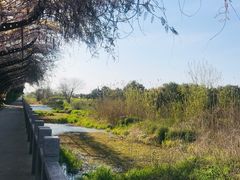 -南通洲际绿博园