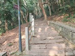 -灵顺寺