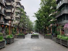 -泡桐树街