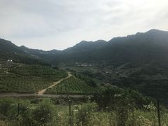 -梦幻奥陶纪景区