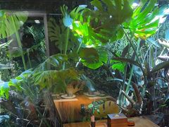 -森味薪火烧•烧鸟居酒屋•日本料理(望京店)