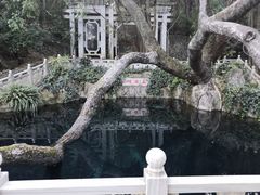 -蝴蝶泉公园