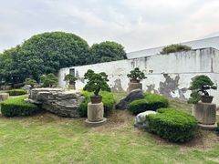 -中国唐苑