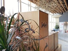 -Seesaw Coffee(朝阳大悦城店)