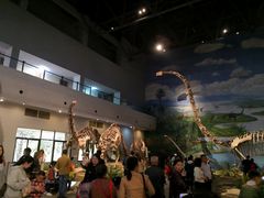 -自贡恐龙博物馆