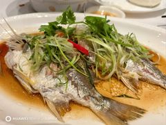 清蒸黄脚立-粥旺庄(芳村店)