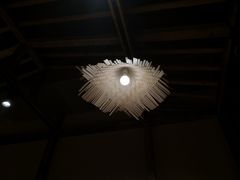 -民窑私烤土窑坑烤大公鸡