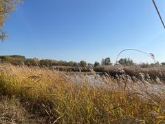 -野鸭湖国家湿地公园