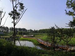 -同里国家湿地公园