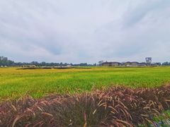 -中国天府农业博览园