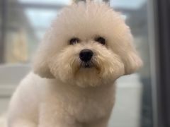 -萌兽医馆·眼科·异宠专科(三里屯店)