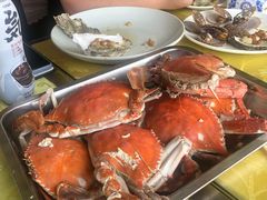 -叶存利海鲜大馅饺子(东戴河止锚湾店)