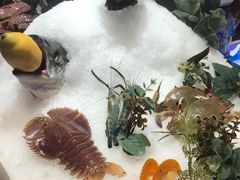 -加餐海鲜自助(集美银泰百货店)