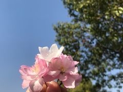 -南京市江宁方山