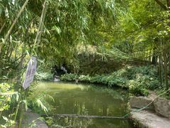 -庐山风景区花径公园