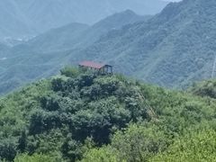 -大岭沟猕猴桃谷风景区