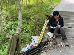 -王顺山国家森林公园
