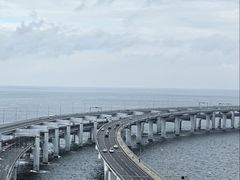 -星海湾跨海大桥