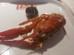-杨氏青龙虾·羊蝎子(托乐嘉店)