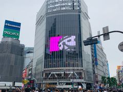 -涩谷区