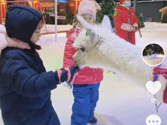 -宁波冰雪大世界(北仑区)