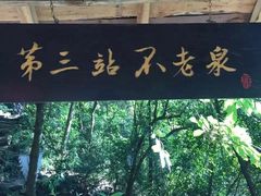 -天门沟九州驿站树上汤泉