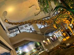 -甘肃地质博物馆