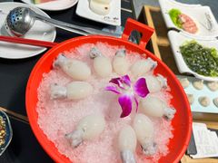 -汉方猪肚鸡火锅(金华之心店)