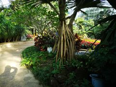 -南山植物园
