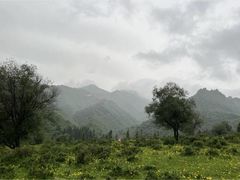 -兰州吐鲁沟国家森林公园