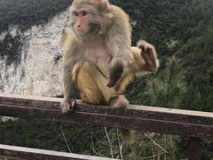 -重庆云阳龙缸景区