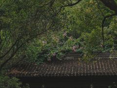 -深圳国际园林花卉博览园