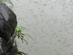 -柳侯公园