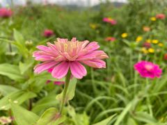 -白塘生态植物园